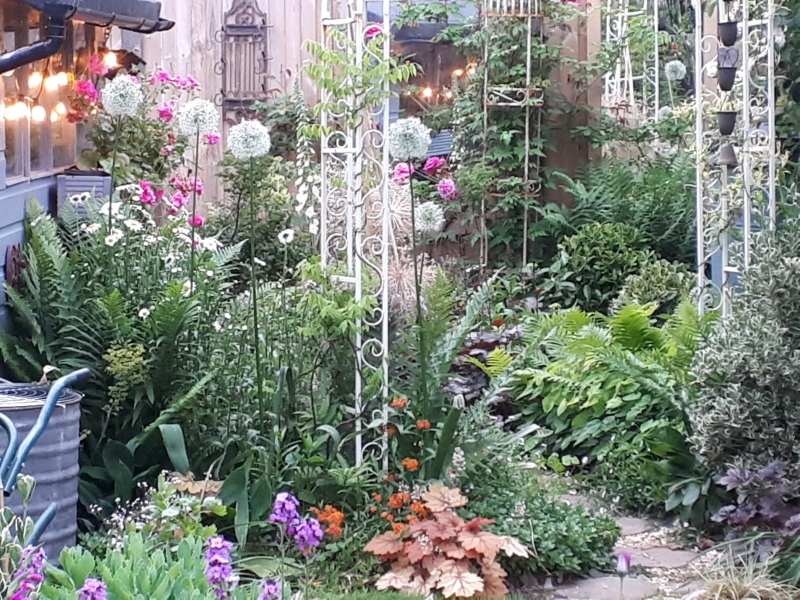 Judy’s Cottage Garden